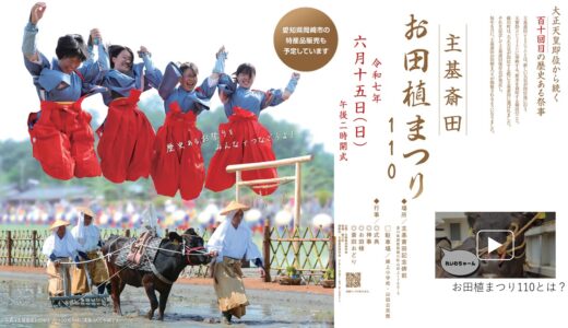 綾川町で「主基斎田お田植まつり110」が2025年6月15日(日)に開催される！10年ぶりに牛耕が実演に！
